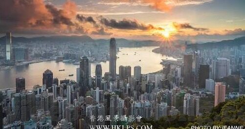 成人免费视频麻豆-成人娱乐内容市场的SE转型