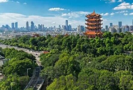 国产av麻豆全部免费-探索国产AV文化的界限与思考，麻豆资源与用户选择