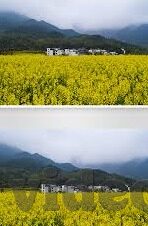 果冻传媒91cm-探索果冻传媒的独特魅力，91cm的创意与艺术交融