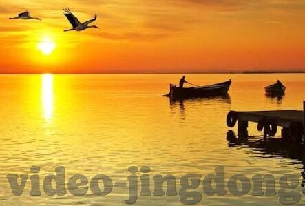 麻豆短视频观看入口-触及瞬间——麻豆短视频，精彩尽在此刻
