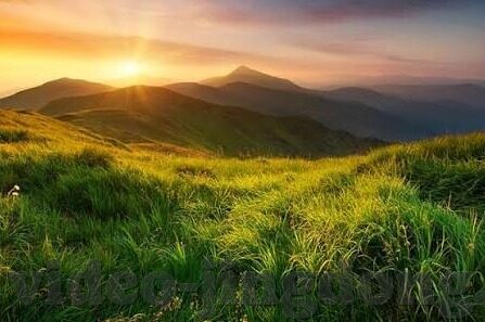 猫扑视频麻豆-猫扑视频与麻豆，奇妙的网络文化碰撞