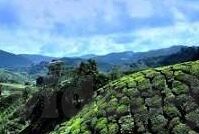 手机在线观看免费日韩av伦理电影-探索日韩文化与伦理视角下的在线影视内容