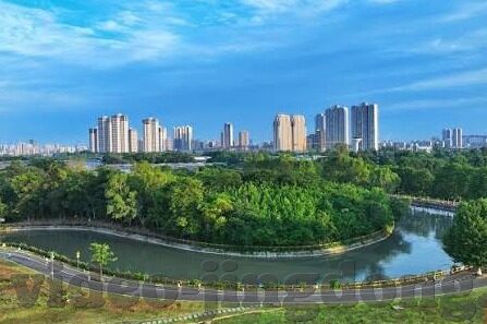 糖心app软件旧版下载-重温经典，糖心APP软件旧版下载全攻略