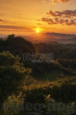 糖心app直播下载-糖心应用——走进高质量直播的新世界
