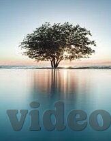 糖心vlog百度贴吧-糖心星球的甜蜜日常，探访Vlog风格的百度贴吧
