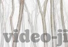 无码免费一区二区三区-解锁网络世界的多元探索，一区、二区、三区的无码免费内容解析